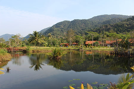 body of water near trees during daytime thumbnail