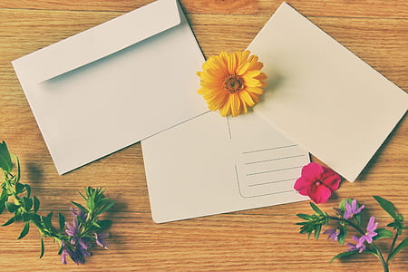 yellow petaled flower on white paper thumbnail