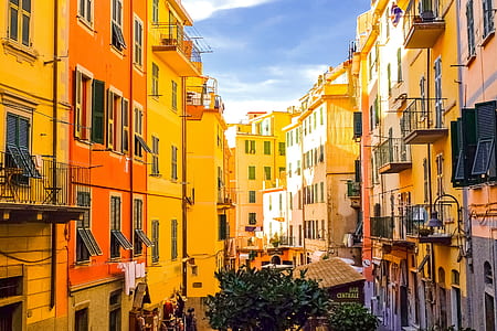 green leafed tree between two yellow buildings thumbnail