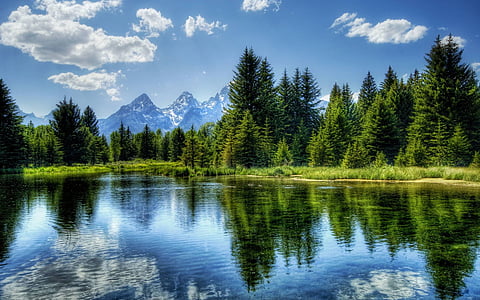 calm body of water near trees during daytime thumbnail
