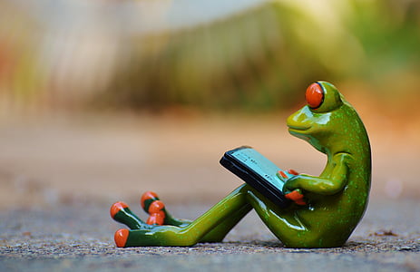 macro photography of green frog thumbnail