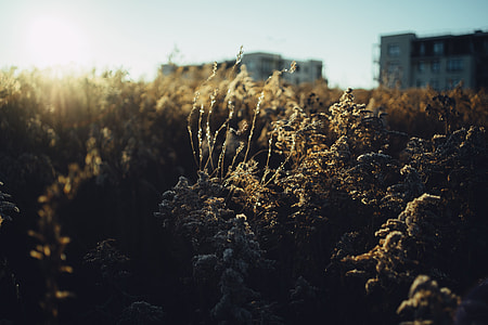 Sunset in suburbs thumbnail