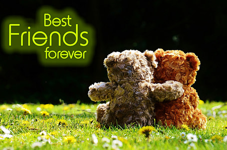 bear plush toys with text overlay thumbnail