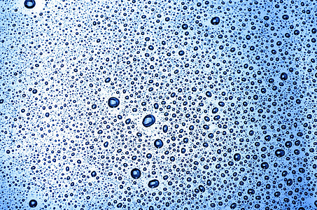 closeup photography of water dew drop thumbnail