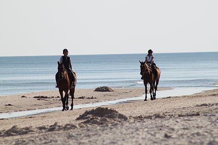 two person riding horse beside seashore during daytime thumbnail