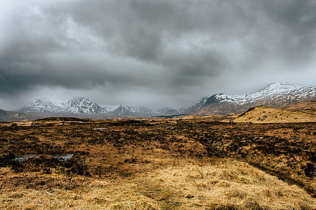 dried land under gray clouds thumbnail