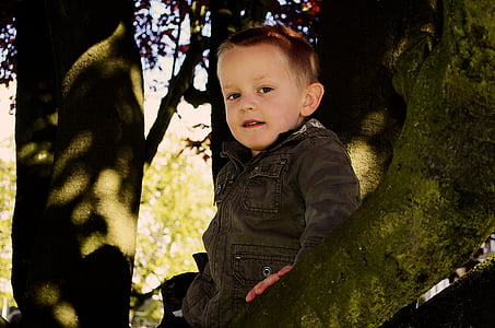 children sitting on tree thumbnail