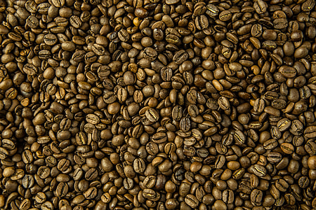 Close-up shot of fresh coffee beans thumbnail