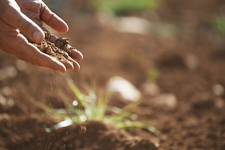 person holding grain of sand thumbnail