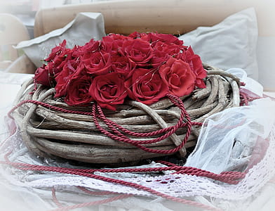 red rose on brown nest thumbnail