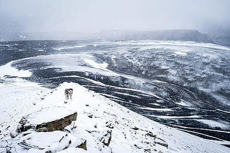 aerial shot of snowy mountain thumbnail