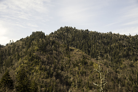 Mountains under the sky landscape in Great Smoky Mountains National Park, Tennessee thumbnail