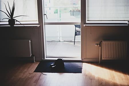 pair of black shoes on rug beside door thumbnail