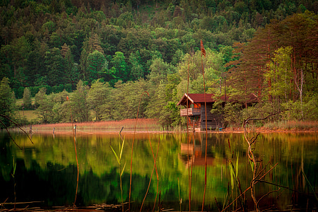 grey cabin near trees and calm body of water thumbnail