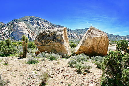 broken rock near grass during daytime thumbnail