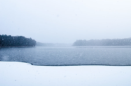 trees, body of water, snow, ice thumbnail