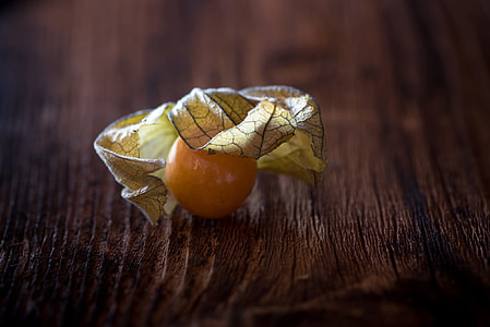 Physalis, Physalis Peruviana thumbnail