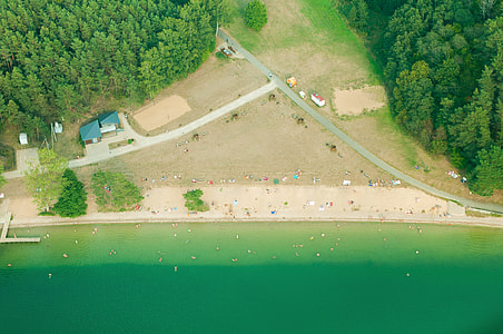 aerial view of sea near tall trees thumbnail