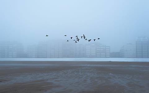 light, sea, city, dawn thumbnail