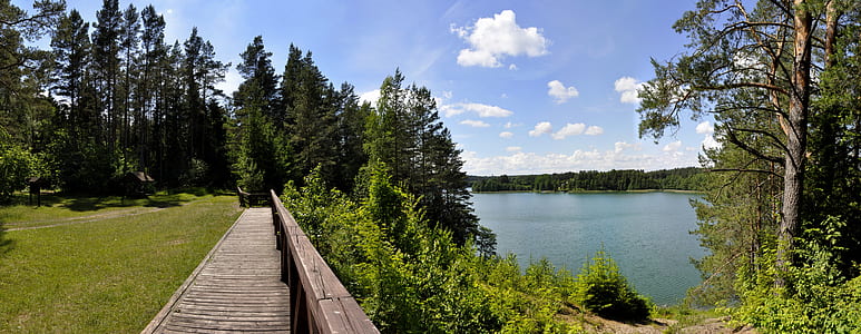 brown wooden handrail near body of water at daytime thumbnail