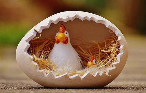 hen's nest themed decor close-up photo thumbnail