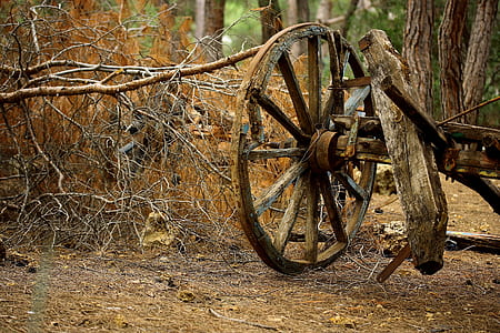 brown carriage wheel beside twigs thumbnail