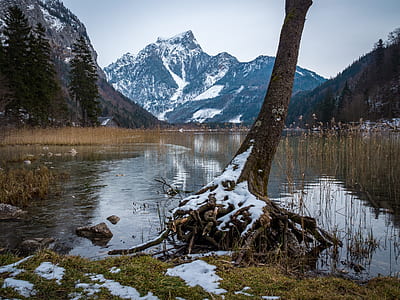 pond with snow-covered mountain background thumbnail