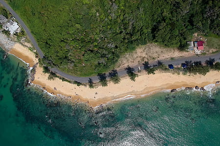 Aerial View of Ocean and Trees thumbnail