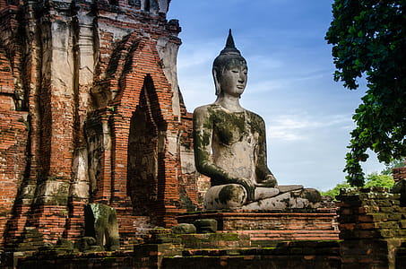 Buddha Statue in Thailand thumbnail