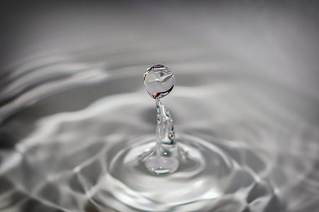 close up photography of water drops thumbnail