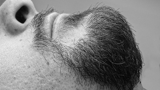 grayscale photo of man's beard thumbnail
