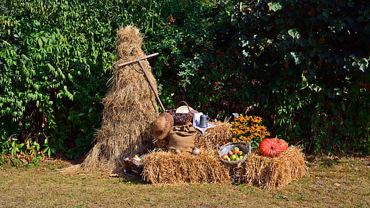brown hat beside picnic basket thumbnail