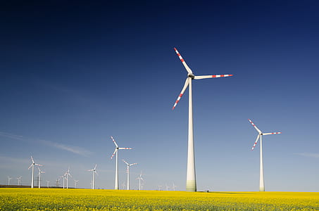 photo of fan windmill field thumbnail