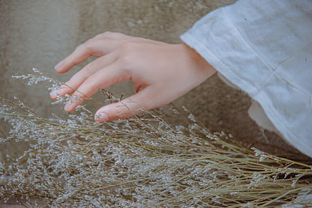 Close-Up Photography of Hand Near Plants thumbnail