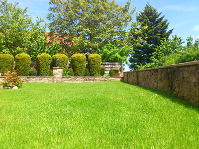 green bush plants near green grass field and trees during daytime thumbnail