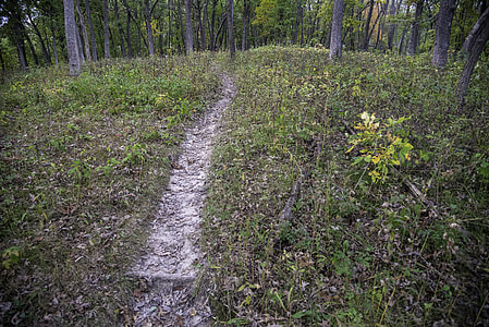 Forested Trail at Ferry Bluff, Wisconsin thumbnail