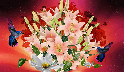 pink and white petaled flowers thumbnail
