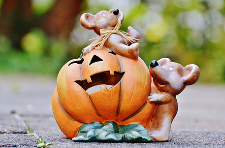 selective focus photography of two mice and jack o' lantern figurine thumbnail