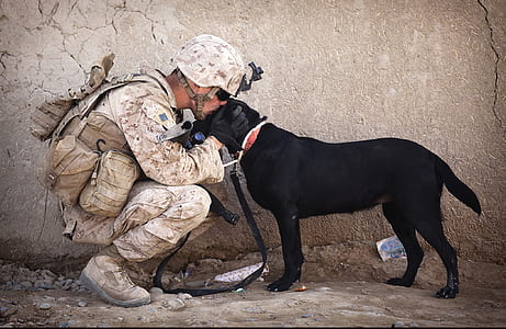 soldier kissing adult black Labrador retriever on head thumbnail