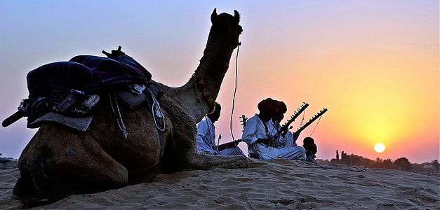 group of men sitting on sand near camel during sunset thumbnail