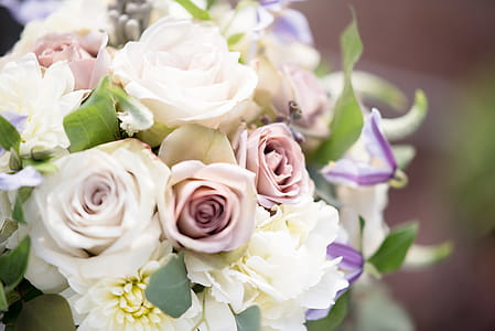 White And Pink Rose Bouquet thumbnail