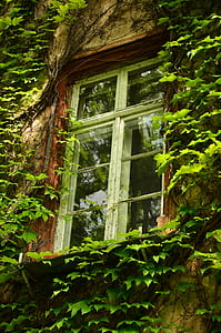white wooden window at daytime thumbnail