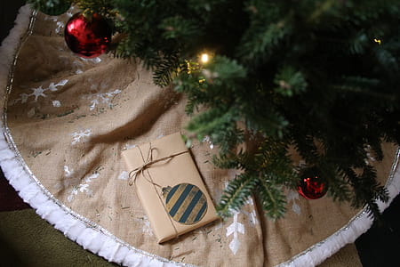 close up photo of Christmas tree thumbnail