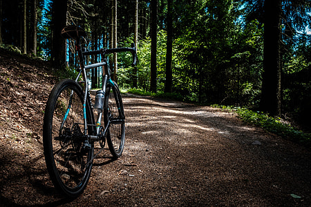 black and green road bike under green leaf trees thumbnail