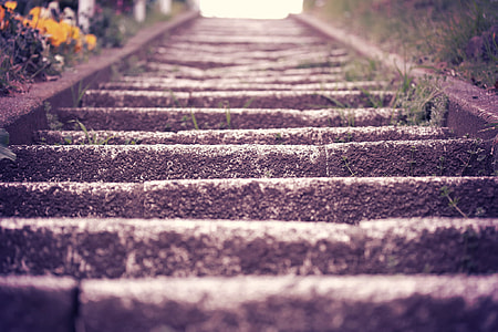 photography of black concrete ladder thumbnail
