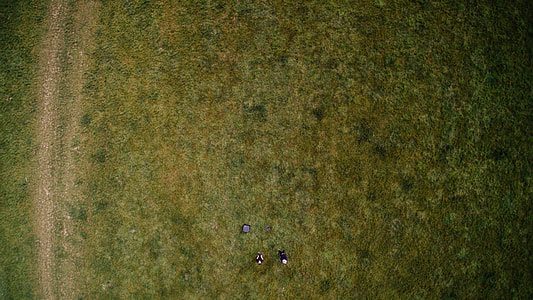 green, fleece, grass, field thumbnail