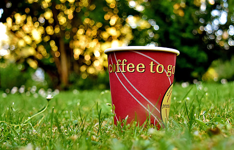 selective focus photography of red and white cup on green grass at daytime thumbnail