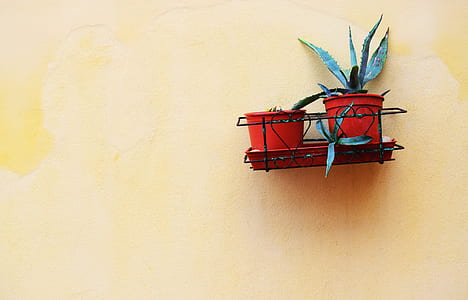 two red pots on black floating shelf thumbnail