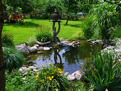 pond in the middle of garden thumbnail