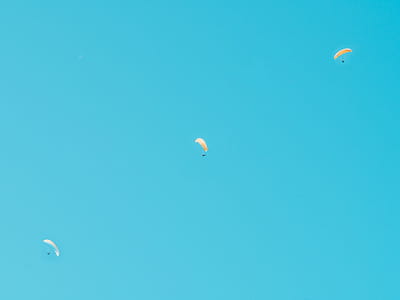 Photo of Three Person in Parachutes thumbnail